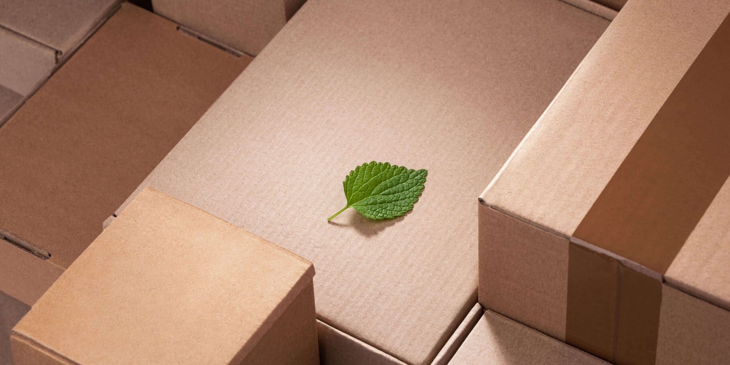 Eco Friendly e-commerce packaging - Sustainable Packaging